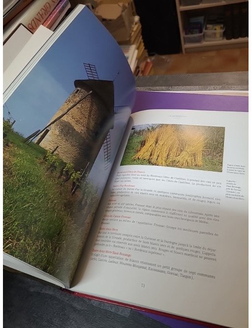 Le Vin À La Maison — Louis Plessis