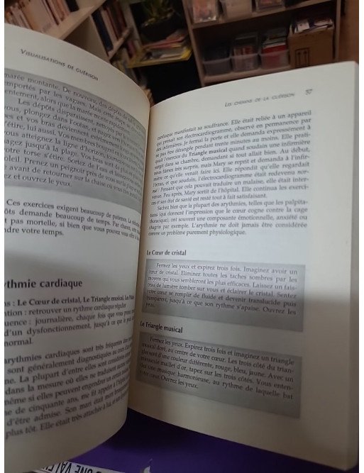 Visualisations de guérison – Gerald Epstein