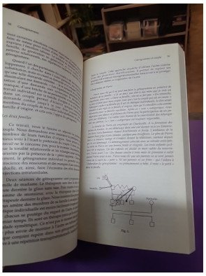 Génogrammes - Mille et un contes de familles