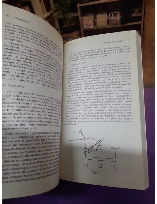 Génogrammes - Mille et un contes de familles