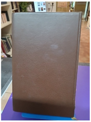 Le Parrain - Mario Puzo