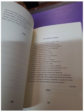 Recueil d'El Babtine : Épanchement rustique