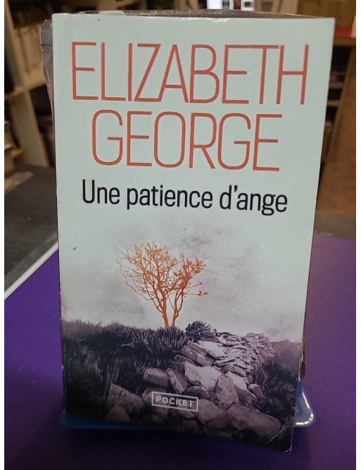 Une patience d'ange — Elizabeth George