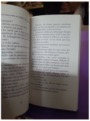 Le Livre des soeurs — Amélie Nothomb