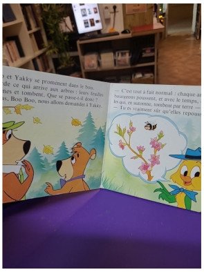 Av. Parc - Chere petite feuille — Eponge