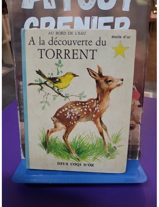 À la découverte du torrent — Anne-Marie Dalmais