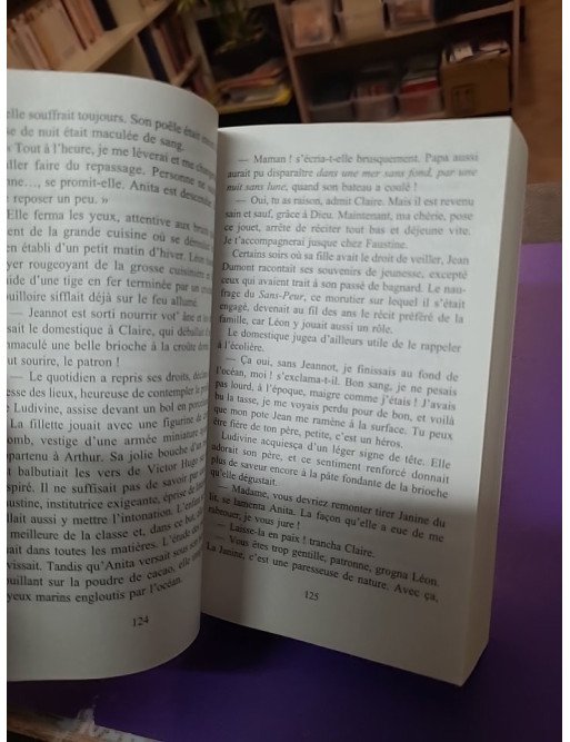 Le Moulin du Loup - Tome 6 — Marie-Bernadette Dupuy