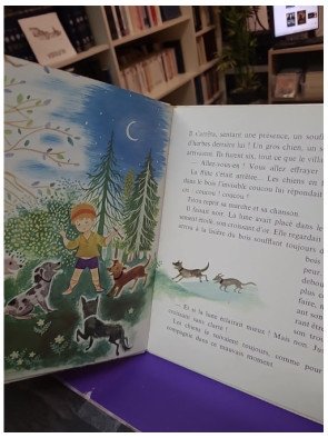 La flûte magique – Anne Lecomte