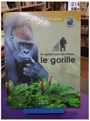 Un géant sous les arbres – Le gorille