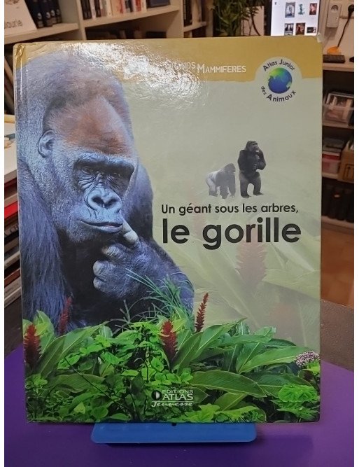 Un géant sous les arbres – Le gorille
