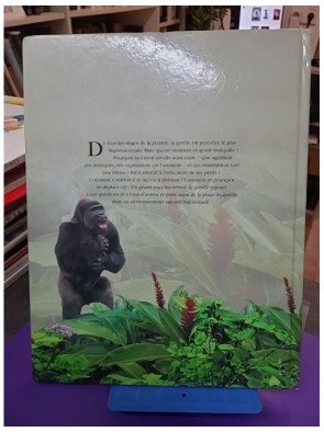 Un géant sous les arbres – Le gorille
