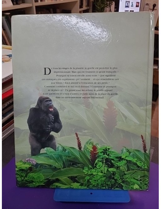 Un géant sous les arbres – Le gorille