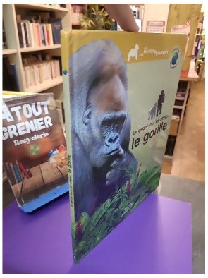 Un géant sous les arbres – Le gorille