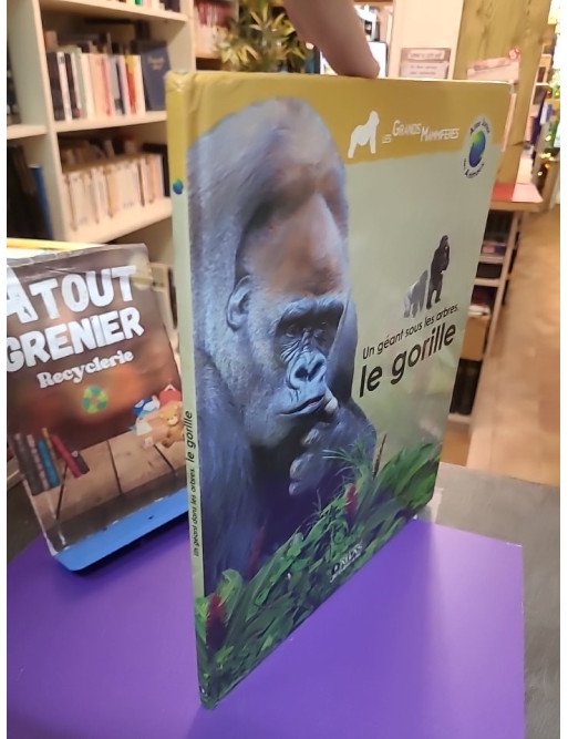 Un géant sous les arbres – Le gorille