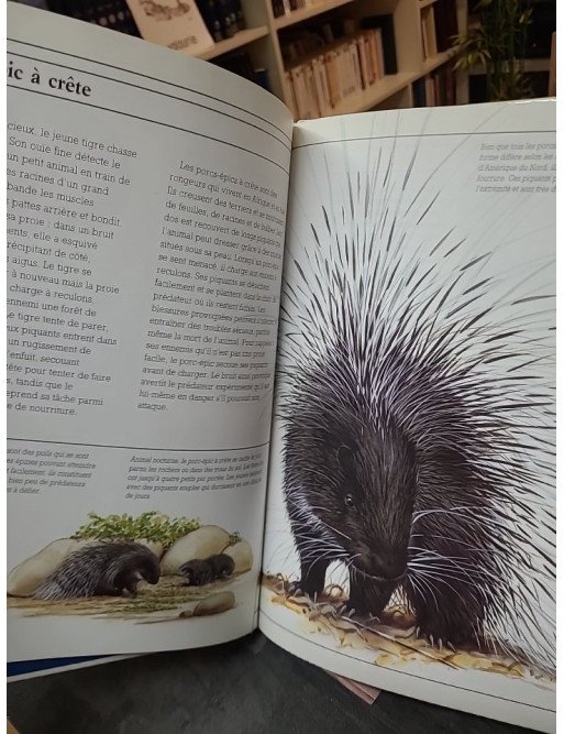 Les défenseurs – Jenny Wood