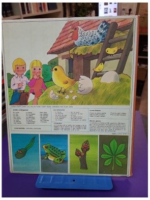 Petit Tom et les malices de la nature