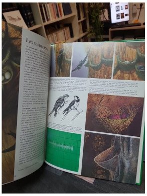 Les Animaux Bâtisseurs