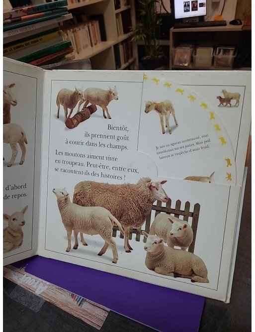 Regarde-les grandir - Tourne la roue et découvre les animaux qui grandissent