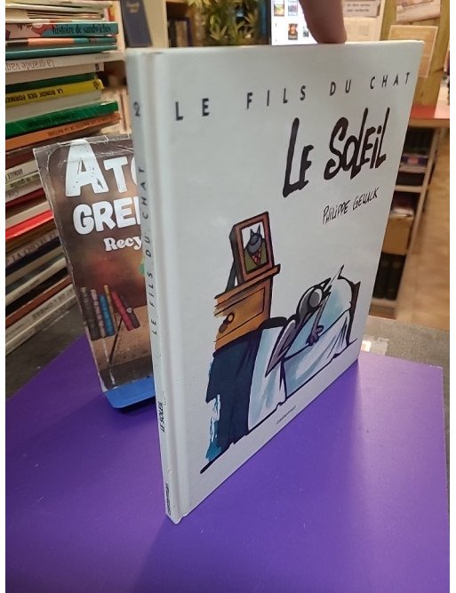 Le Fils du Chat, tome 2 - Le Soleil