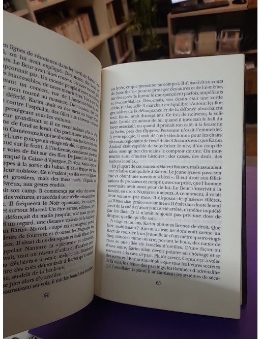 Les rivières pourpres