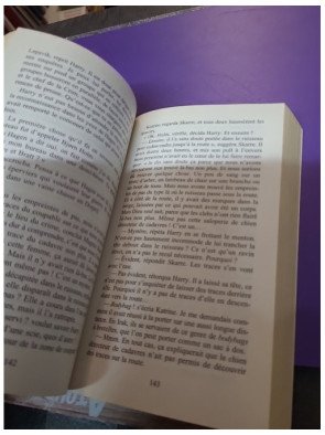 Le bonhomme de neige — Jo Nesbø