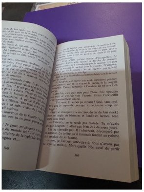 Le Moulin du Loup - Tome 4 — La Grotte aux fées