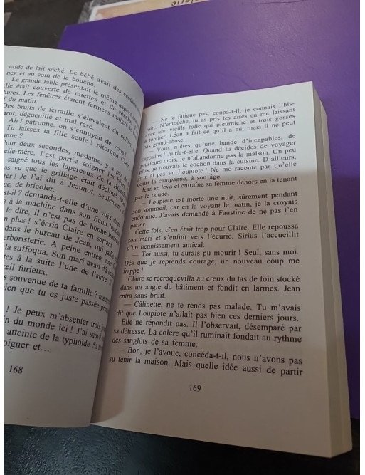 Le Moulin du Loup - Tome 4 — La Grotte aux fées