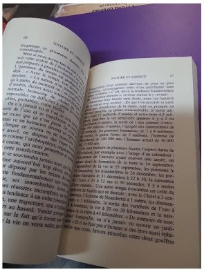 Et si l'aventure humaine devait échouer