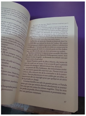 L'Homme-miroir – Lars Kepler