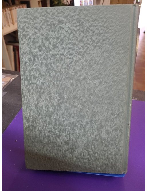 Holy Bible Placed By the Gideons (Old And New Testaments) – The Gideons