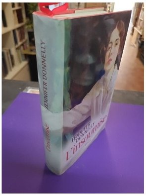 L'Insoumise - Jennifer Donnelly