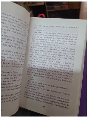 L'Insoumise - Jennifer Donnelly