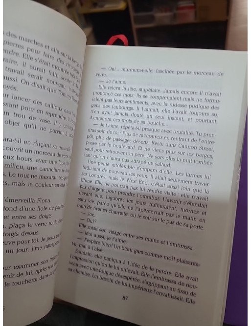 L'Insoumise - Jennifer Donnelly