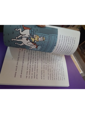 Béatrice l'intrépide et le délicieux François les Bas Bleus - Matthieu Sylvander