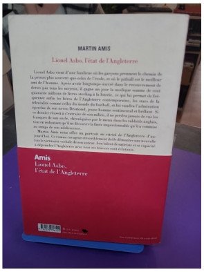 Lionel Asbo, l'état de l'Angleterre – Martin Amis