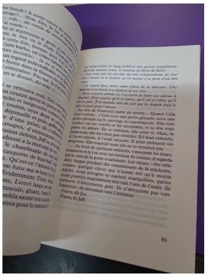 Lionel Asbo, l'état de l'Angleterre – Martin Amis