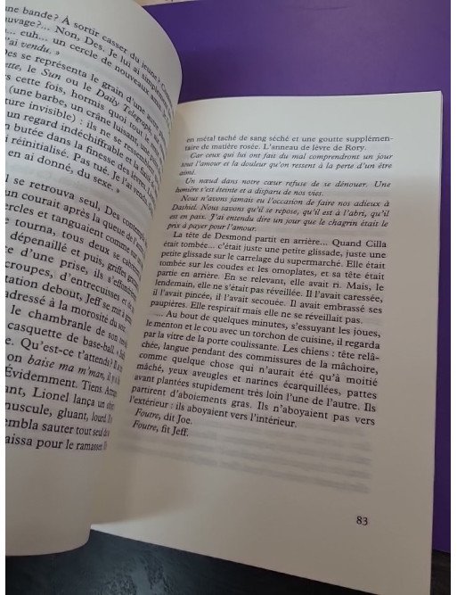 Lionel Asbo, l'état de l'Angleterre – Martin Amis