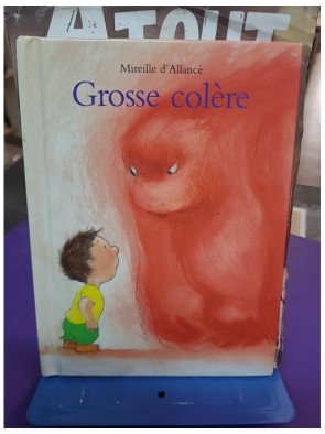 Grosse Colère – Mireille d' Allancé