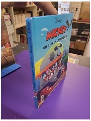 Mickey un jour en camping-car – Disney