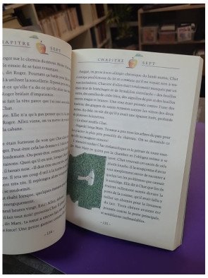 Ma soeur est une sorcière - Diana Wynne Jones