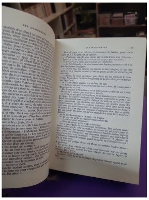 Les Mandarins - Simone de Beauvoir