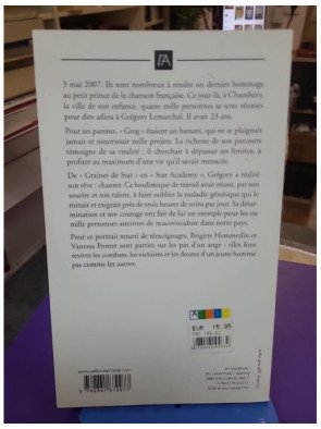 Grégory sur les pas d'un ange – Brigitte Hemmerlin