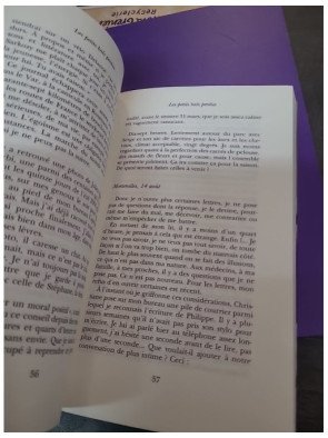 Les Petits Bals perdus – Journal 9 (Journal posthume)