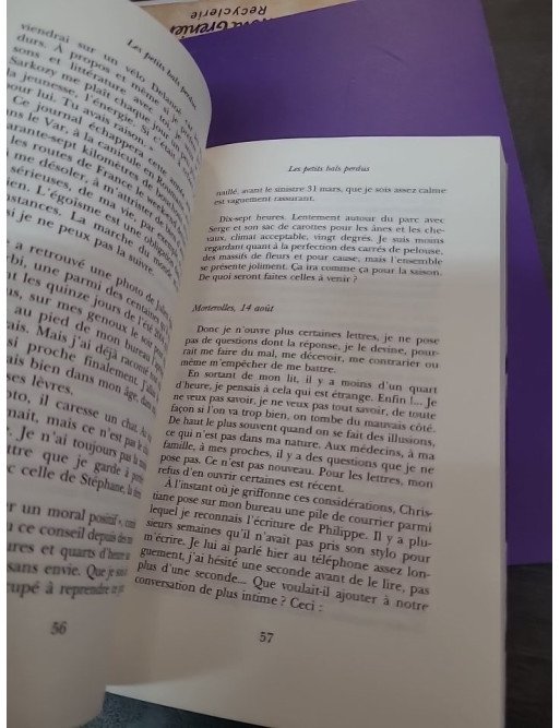 Les Petits Bals perdus – Journal 9 (Journal posthume)