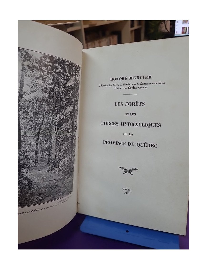 Les Forêts et les forces hydroliques de la Province de Québec