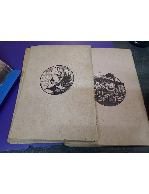 Le Capitaine Fracasse, tomes 1 et 2 - Théophile Gautier