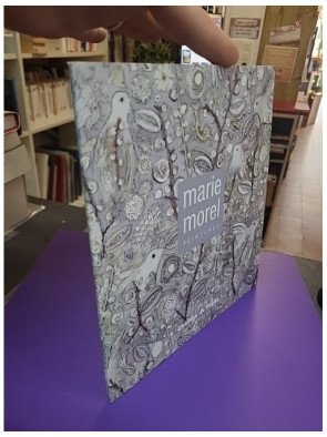 Catalogue de l'exposition Marie Morel au musée de la Halle Saint-Pierre - Peintures