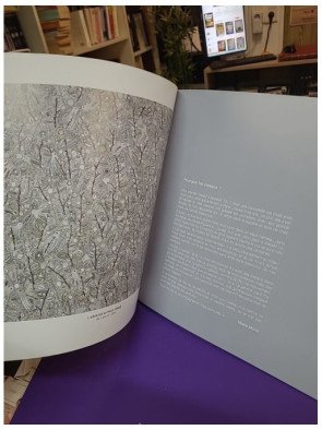 Catalogue de l'exposition Marie Morel au musée de la Halle Saint-Pierre - Peintures