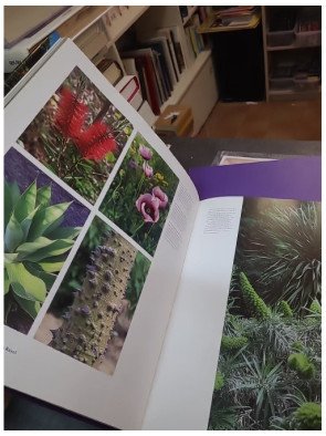 Gardens of Provence and the Côte d'Azur - Marie-Françoise Valéry