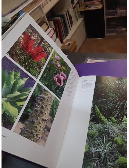 Gardens of Provence and the Côte d'Azur - Marie-Françoise Valéry